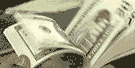 banipenet.gif